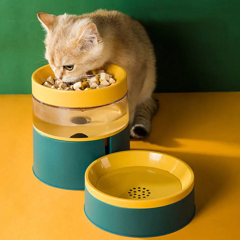 Pet Bowls